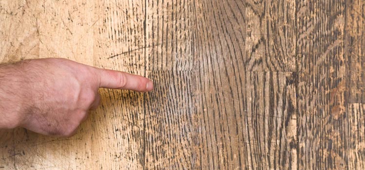 Wood Door Scratch Repair in Granite Bay